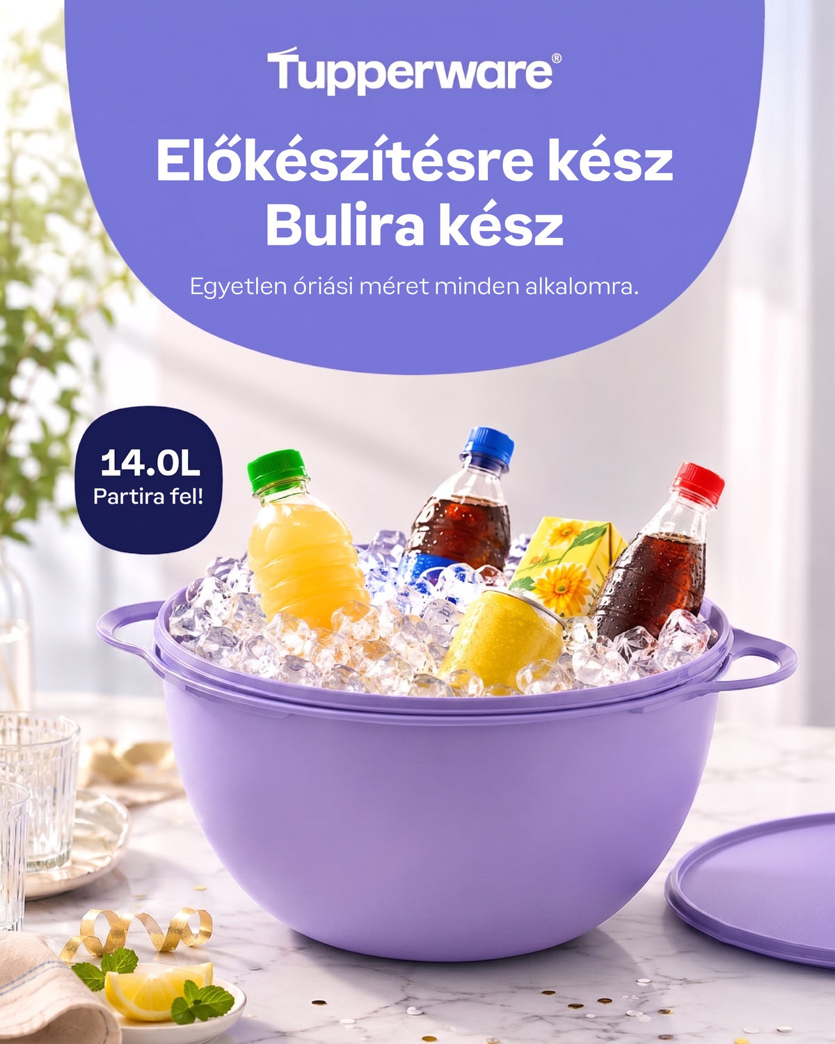 Óriás Kelesztő Tál Szett