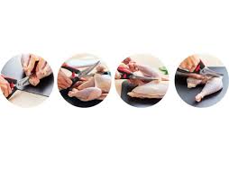 ÚG Szárnyasvágó Olló